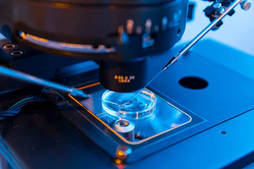 In vitro fertilization (IVF) fertilizes an egg with sperm outside the body