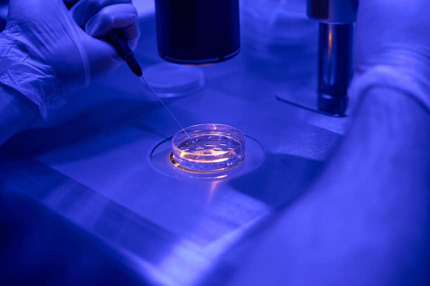 An embryologist performs ICSI in a laboratory