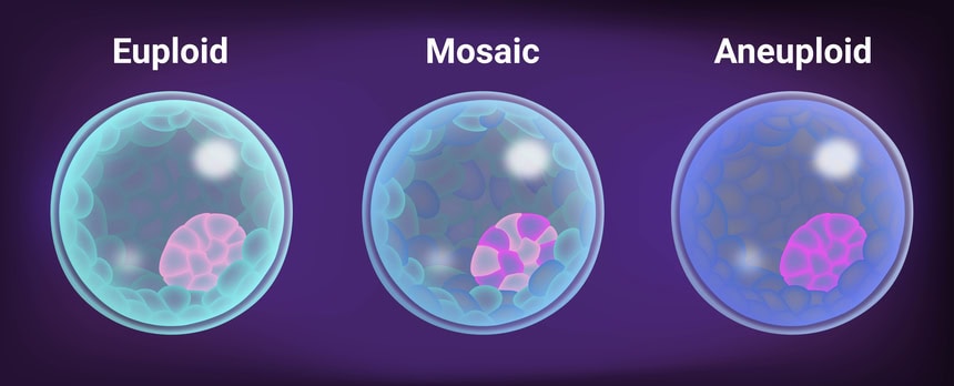 ตัวอ่อน 3 ประเภท แสดงให้เห็นว่าภาวะ Mosaicism คืออะไร