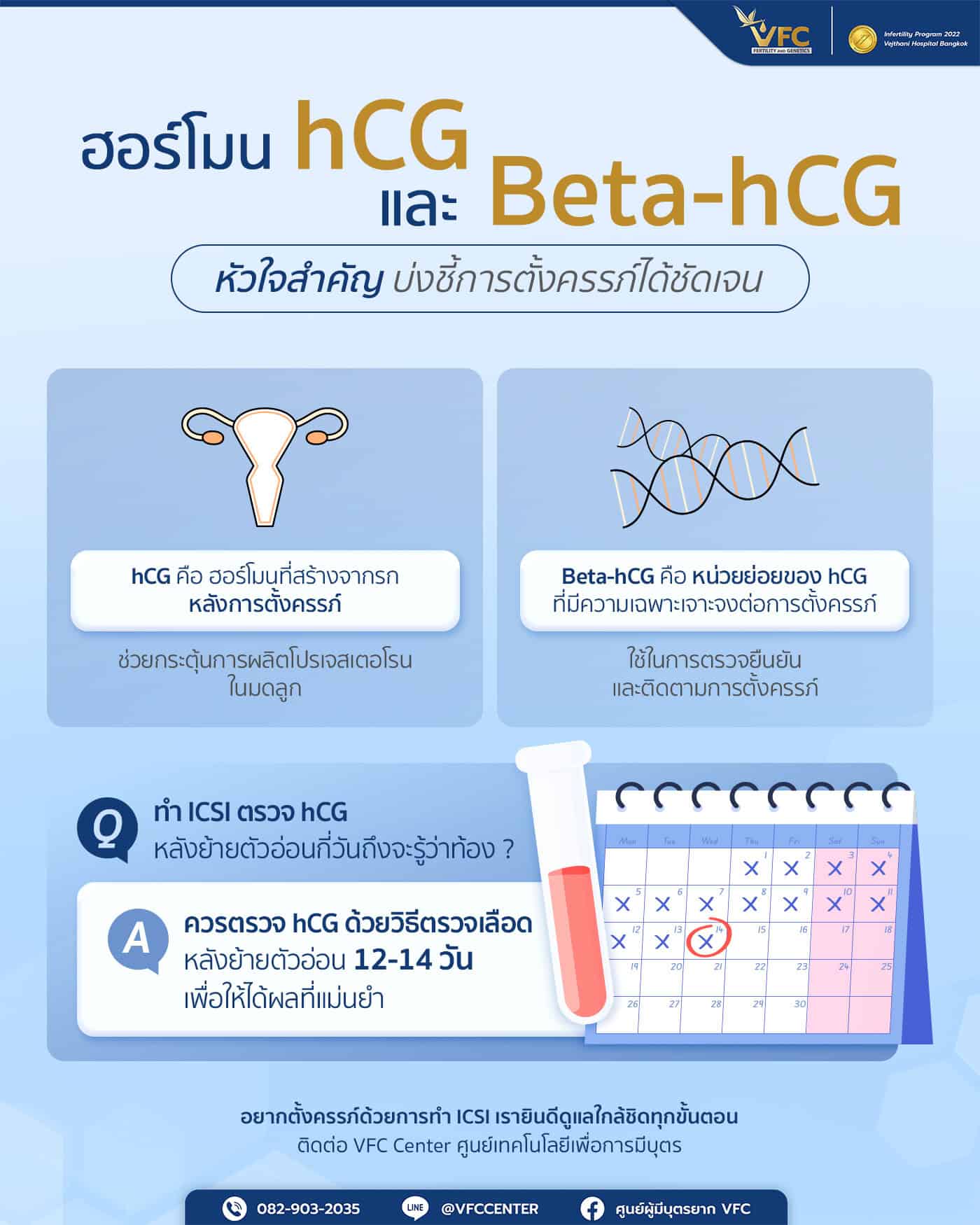ความหมายและความสำคัญของฮอร์โมน hCG และ Beta-hCG